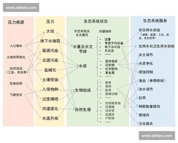 围绕恢复手段优化路径构建系统性健康重建与功能提升综合方案研究