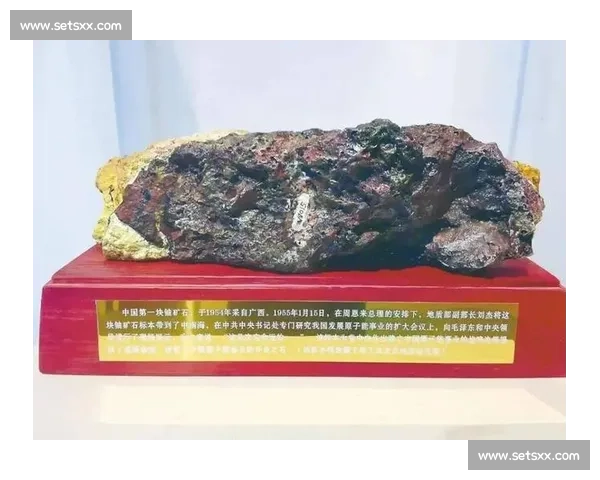 国家纪录背后的非凡故事与荣耀追求全景解读