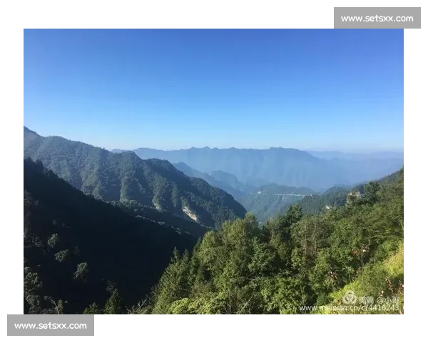 聚焦举重比赛背后的训练策略竞技精神与力量突破的全景探索之旅